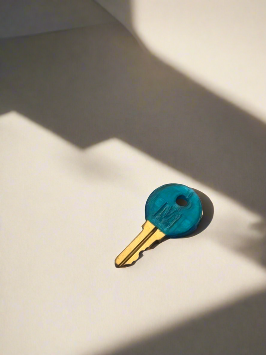 Mircom 306b Key
