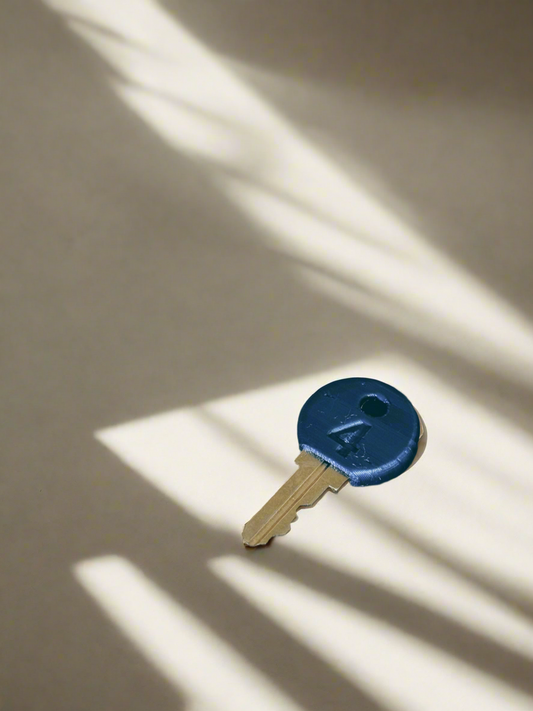 CAT 45 Key